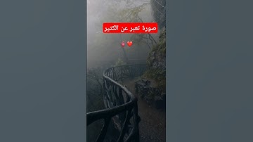 تلاوة هدوء لا يوصف