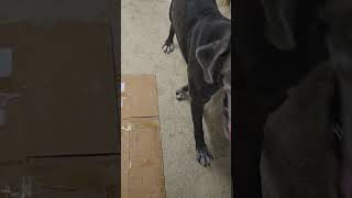 Our New Tentacled Friend And My Daughter Jade