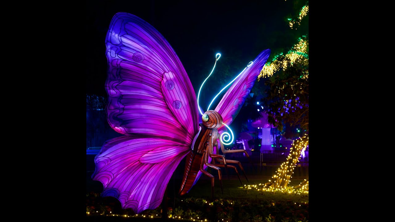 El Jardín de los Sueños 2025