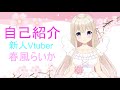 【自己紹介】はじめまして新人Vtuberの春風らいかです💕
