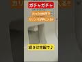 【ガチャガチャ】たった400円でカリンバが手に入る‼️【カリンバ】