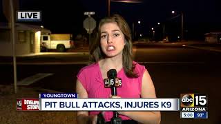 Celebrity MCSO deputy shoots, kills dog during attack Wealth