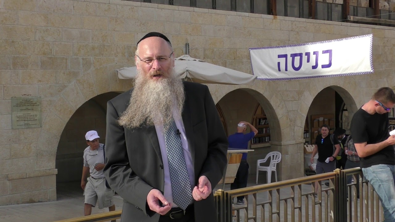 LAVADO DE MANOS EN LA MAÑANA, ES IMPORTANTE???