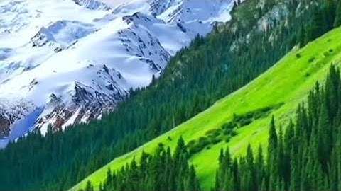 (أَيْنما تكونوا يدرِككمُ الْمَوت) سورة النساء للشيخ ماهر المعيقلي حفظه الله