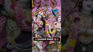Radhe 💞🌺Radhe ❤️🙏 #believe #song #love #faith #shorts #divine #devotional #religious #music