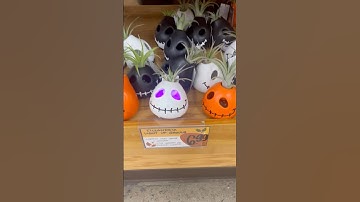 Trader Joe’s Fall Items #traderjoes #fall #traderjoesfinds #traderjoesfavorites #pumpkinspiceseason