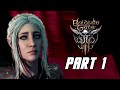 Modded Baldurs Gate 3 playthrough: Demon Hunter class