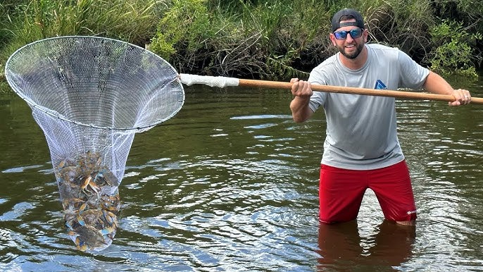 Stacking Up JUMBO BLUE CRABS with Nets (CATCH AND COOK) 