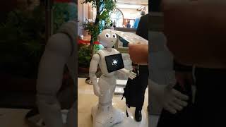 ADB Human-Android Robot PEPPER