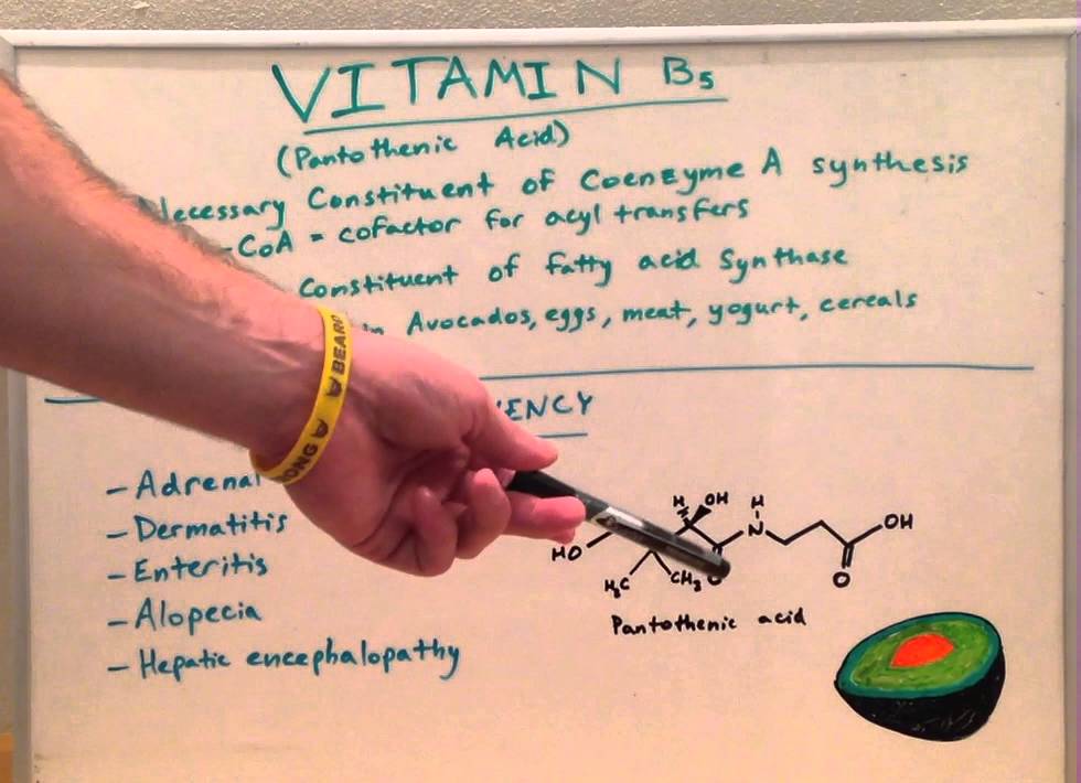 Vitamin B5 Biochem Lecture for Medical Students USMLE Step 1 YouTube