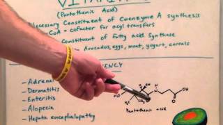 Vitamin B5 - Biochem Lecture for Medical Students - USMLE Step 1