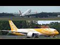 BERLIN Tegel Airport Planespotting 2019 with Turkish Airlines GO AROUND