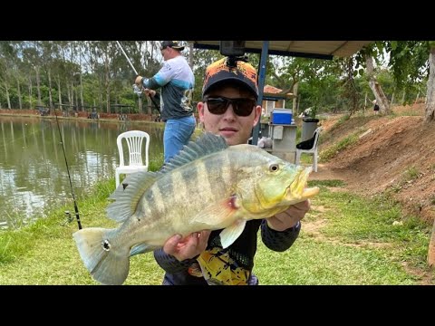 Não é atoa que é considerado um dos MAIORES. Em uma ÚNICA pescaria, bati meu recorde 3 VEZES! Pesca.