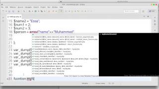98 PHP scripting language debug environment
