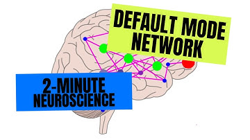 2-minuten neurowetenschap: standaardmodusnetwerk