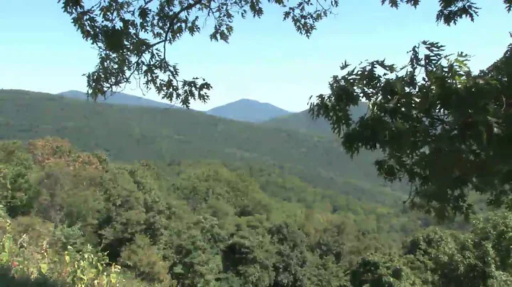 Blue Ridge Memory  - Karen Nichols