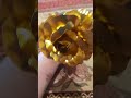 Золотая роза Golden Rose #flower #rose