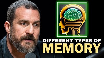 Different Types Of Memory | Andrew Huberman