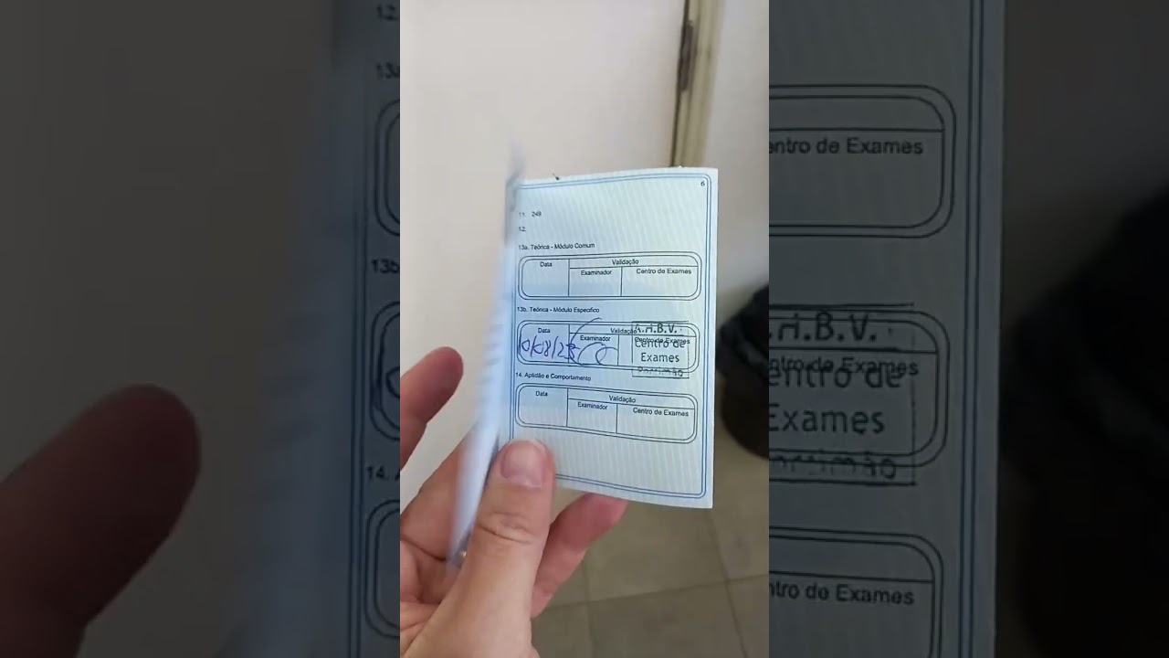 Aprovada no exame teórico pronta para iniciar as aulas de condução categori C