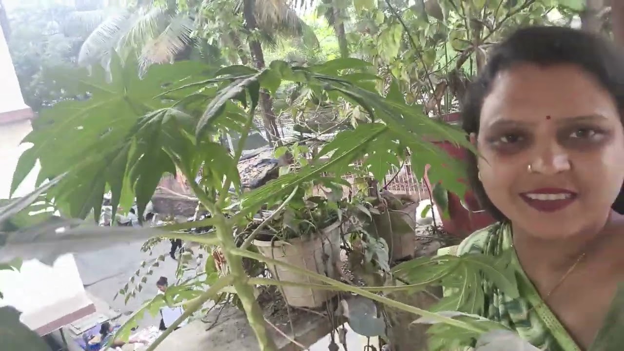 गिलो के बारे में आज मैं #बात बताई हूं शुगर का झाड़ #भी #दिखाइए आप लोग।...☺️☺️🙁🙁#Poonam official ६०