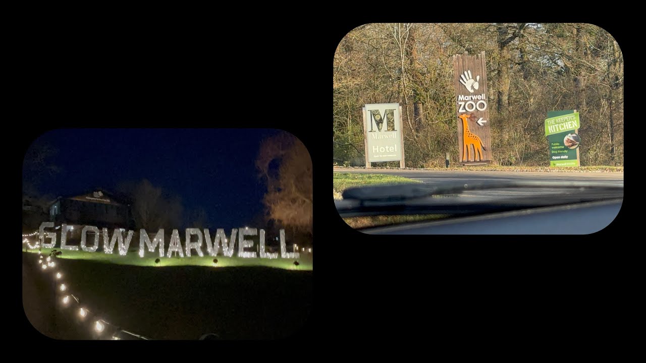 Marwell Zoo + GlowMarwell. | 30/12/25. 💚