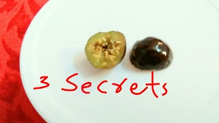 Details 3 Secrets of growing fig fruits in pots. News
