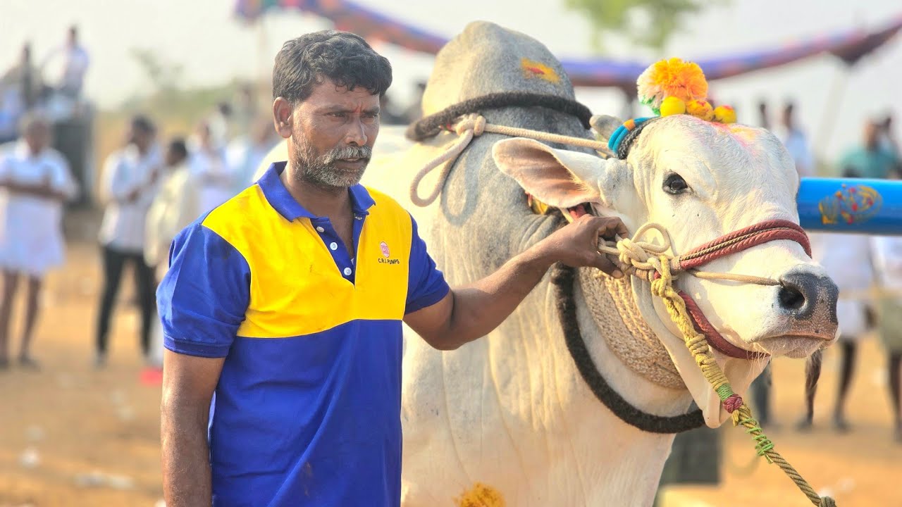 నంద్యాల విష్ణువర్ధన్ రెడ్డి&& షేక్ మై మున్నా మల్యాల