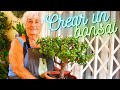 CREA TU PROPIO BONSAI ❤️(Plantación, Poda, Crecimiento...) LA YAYA Y SUS PLANTAS