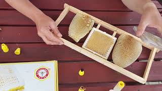 Ramka Jentera, Pierwsze Wnioski...