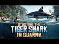 RDR2 - Studying the Tiger Shark in Guarma