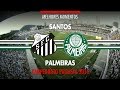 Melhores Momentos - Santos 2 x 2 Palmeiras - Paulistão - 24/04/2016