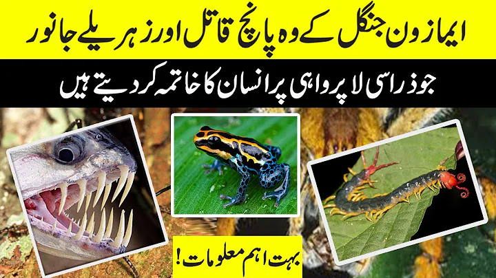 Surviving the Amazon: 5 Most Dangerous Animals You Should Avoid | Power Facts