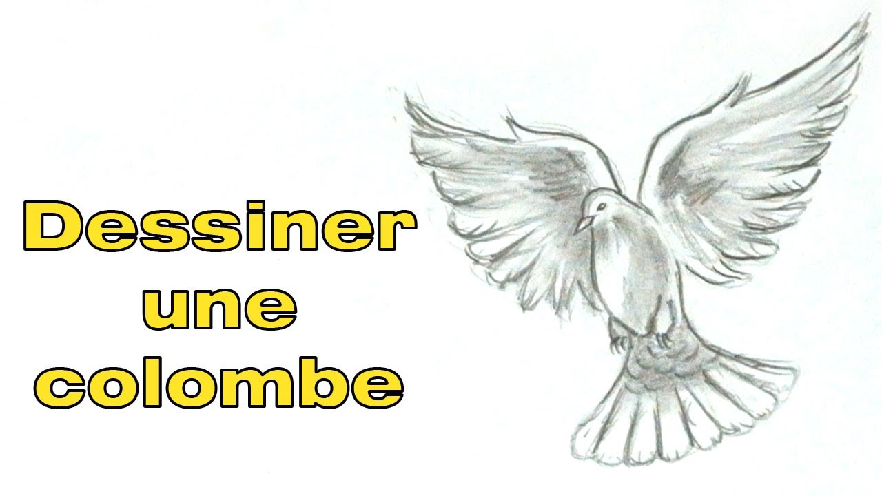 Dessin Oiseau Qui Vole Facile comment dessiner une colombe qui vole facilement - YouTube