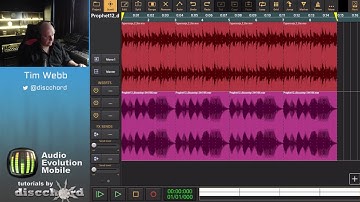 Audio Evolution Mobile Studio - Tutorial 9: Automation