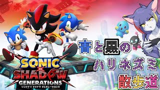 【ソニック × シャドウ ジェネレーションズ】今度はシャドウのジェネレーションズ　～青と黒のハリネズミ散歩道　シャドジェネ編～【ケモノV/紫鼬ハクナ】