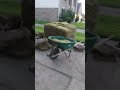 plantando UN Nuevo zespe🌾🌱
