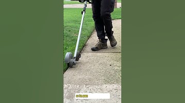 Team string trimmer or team edger?