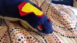 Quilava Plush!!!