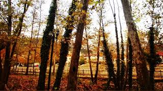 Muhtelif Karakter - Unutamazsın (Cover) 