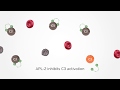 APL-2 and C3 Inhibition