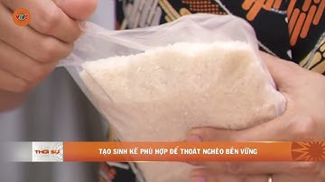 TẠO SINH KẾ PHÙ HỢP ĐỂ THOÁT NGHÈO BỀN VỮNG   | VTV5