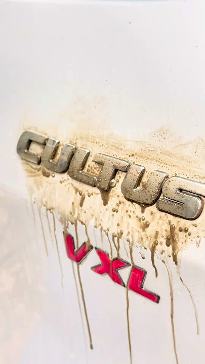 Shinare Chrome Shiner | Monogram Cleaning | Car Detailing #satisfying #cleaning #cardetailing