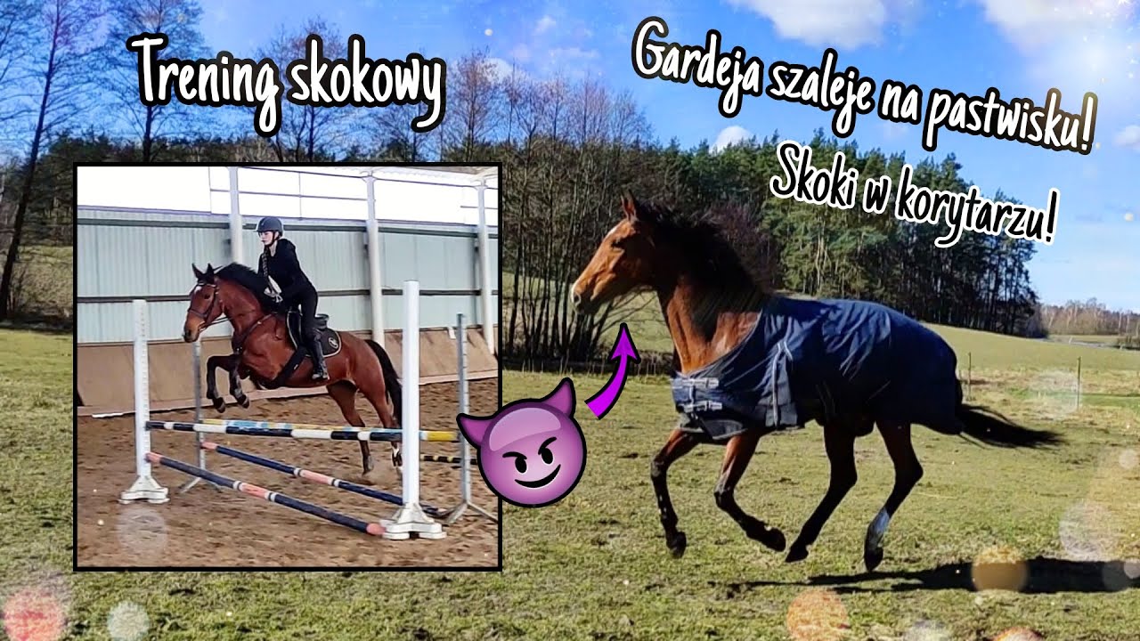 Trening skokowy! Gardejka szaleje na pastwisku! Skoki w korytarzu! VLOG