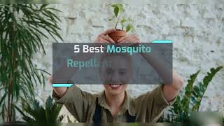 5 Best Mosquito Repellent Plants to Grow in your Home