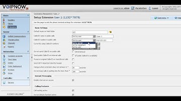 CallerID Setup for a Phone Terminal Extension in VoipNow