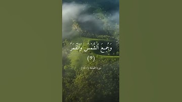 ﴿ يقول الإنسان يومئذ أين المفر ﴾ تلاوة مريحة القارئ [ عبدالرحمن السديس ] أرح طبلة أذنيك قليلا  💦 ❤ 🌱
