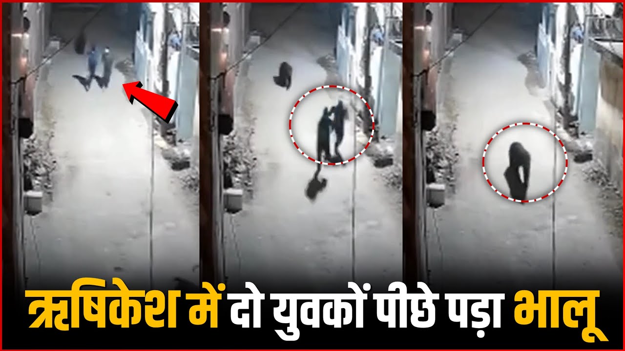 VIDEO: Wild Bear Attick On Two People In Rishikesh | Terrifying Bear Attack Video !