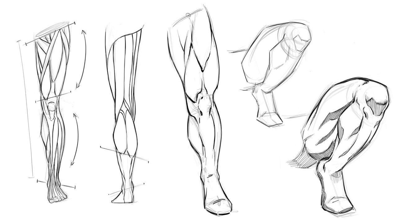 How to Draw Male and Female Legs - Practice Activity!! - YouTube