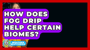 How Does Fog Drip Help Certain Biomes? - Weather Watchdog