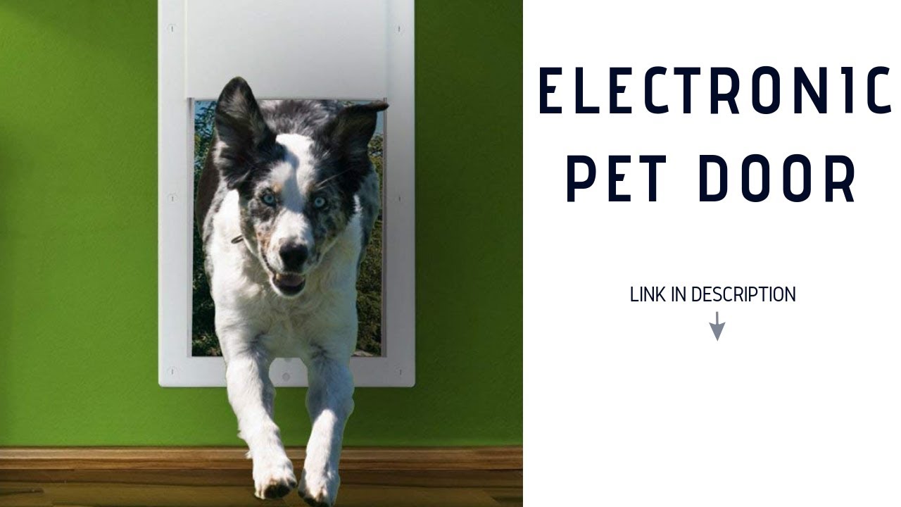 electronic dog door medium